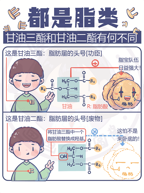 都是脂類甘油三酯和甘油二酯有何不同？